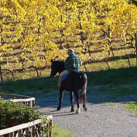 Casa rural Colleverde Colle Umberto (Umbria)