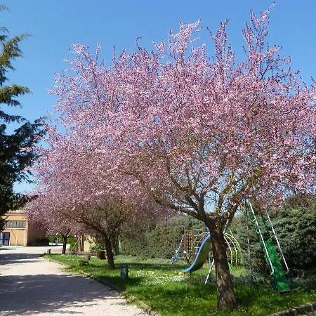Colleverde